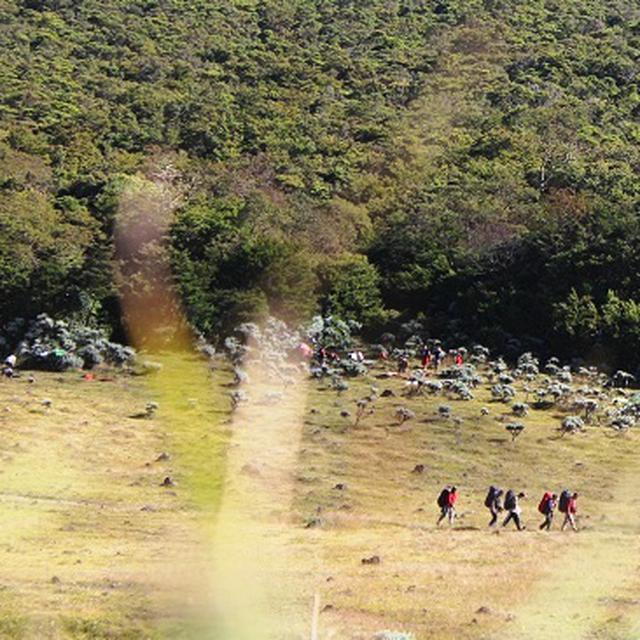 Menyelami Pagi Dari Gunung Kesayangan Soe Hok Gie Regional Liputan6 Com