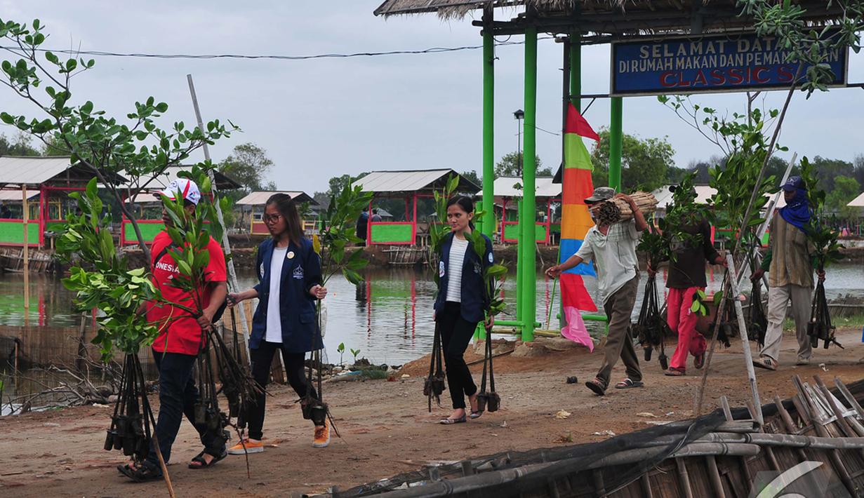 Sejumlah relawan membawa tanaman mangrove untuk ditanam di Desa Muara Ujung, Tangerang, Banten, Minggu (7/12/2014). (Liputan6.com/Johan Tallo) 