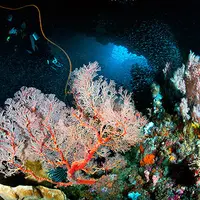 Tak hanya cantik, Laut Banda pun menyimpan misteri palung laut terdalam yang ada di Indonesia.