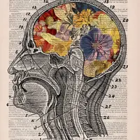 Digores dalam buku tua, 10 ilustrasi anatomi tubuh ini begitu mengagumkan. (Via: boredpanda.com)