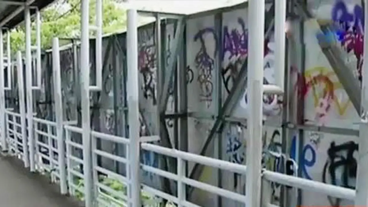JPO