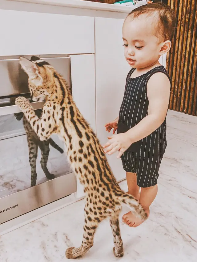 Xabiru dan kucing 2
