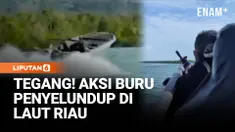 Aksi kejar-kejaran di tengah laut kembali terjadi di perairan Kepulauan Riau. Sebuah kapal cepat bermesin ganda diduga berupaya menembus perbatasan untuk menyelundupkan ratusan ribu lebih benih lobster ke luar negeri.