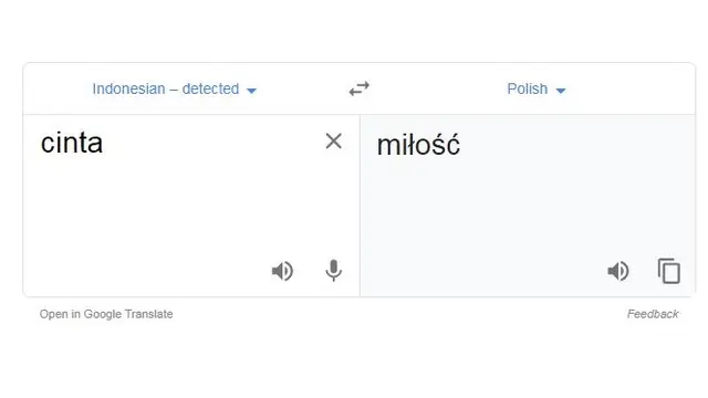Tequini Что Это Перевод