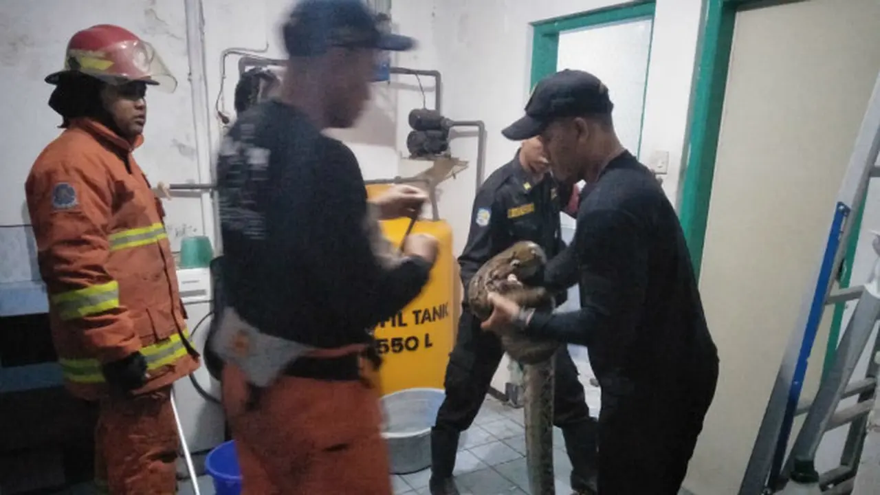 (Foto: Liputan6.com/Dian Kurniawan)