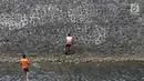 Petugas UPK Badan Air Dinas Kebersihan DKI Jakarta membersihkan rumput liar di sepanjang turap Kali Baru, Jakarta, Selasa (18/7). Kegiatan rutin tersebut merupakan upaya menjaga kebersihan sungai di Ibu Kota. (Liputan6.com/Immanuel Antonius)