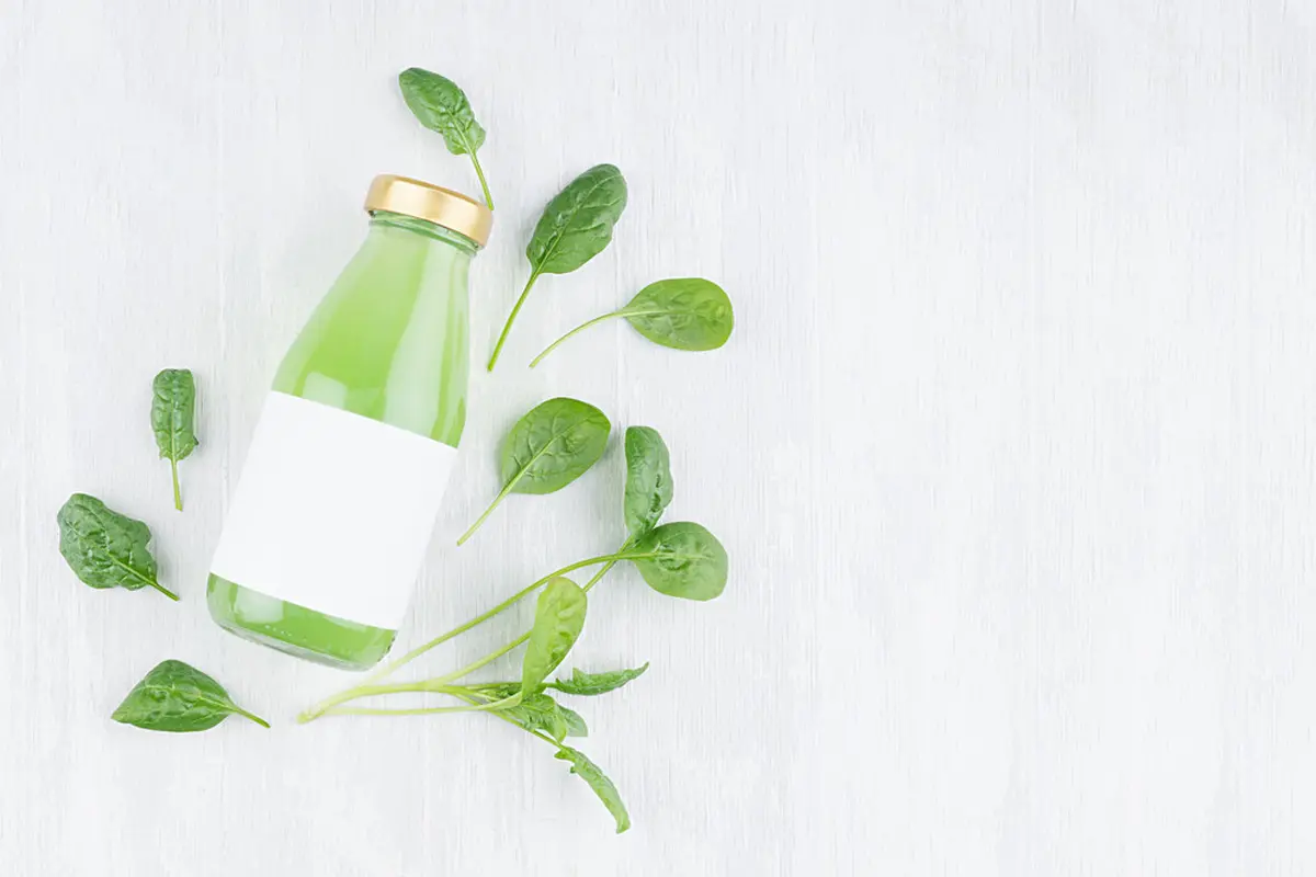 ilustrasi tanaman herbal/Alina Yudina/shutterstock