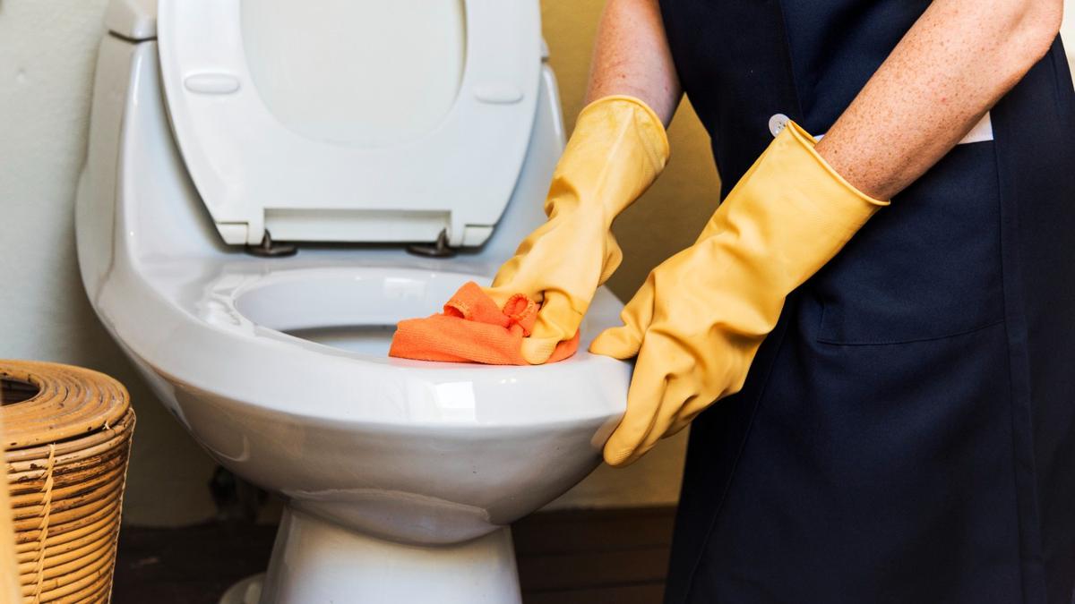 6 Alat Pembersih yang Bisa Merusak Toilet, Wajib Tahu