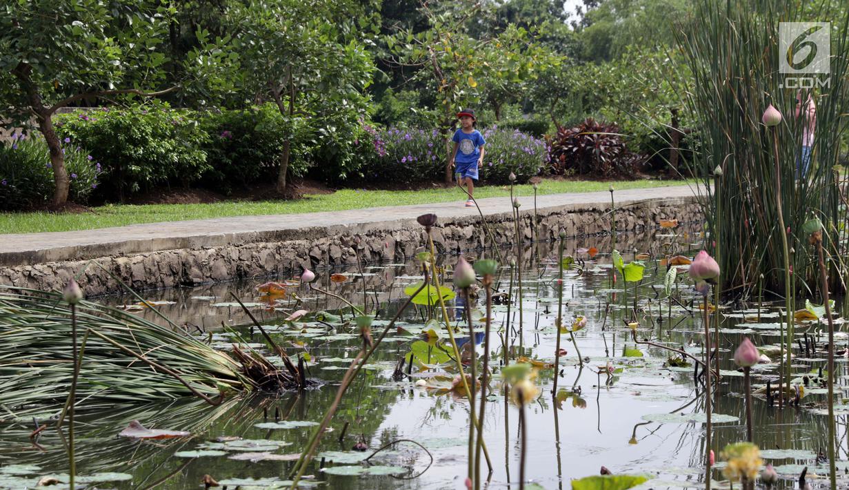 Foto Menikmati Taman Piknik Taman Baru Di Ujung Jakarta