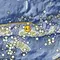 Rentetan Gempa Susulan Guncang NTT