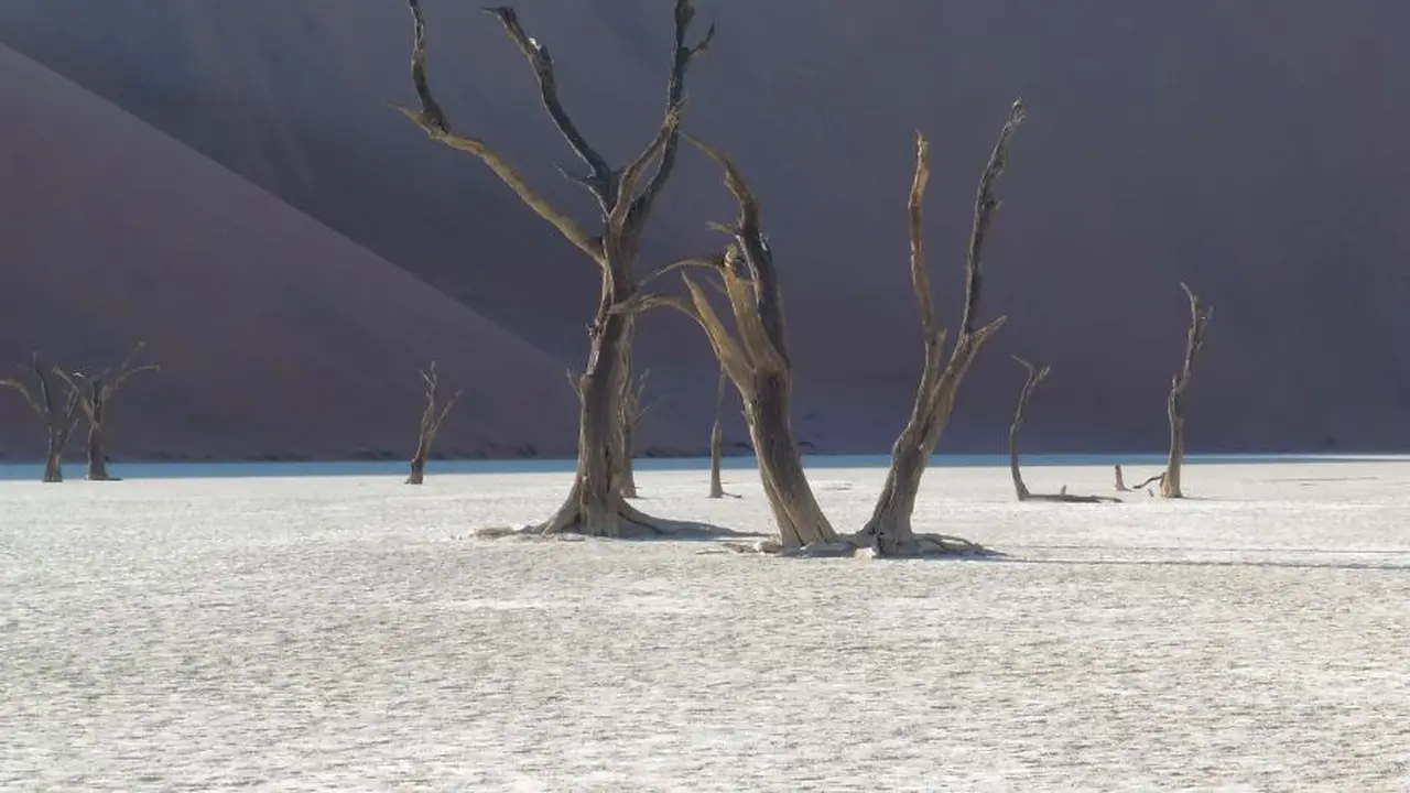 [Bintang] Namibia
