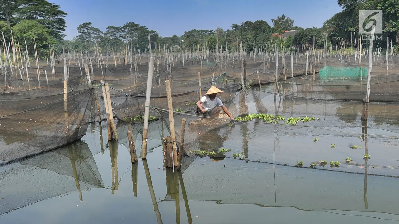 Peternak Ikan Hias