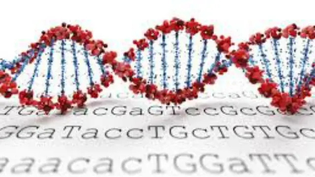 DNA Adalah Asam Nukleat untuk Menyimpan Genetika, Pahami Fungsi dan Sifat-Sifatnya