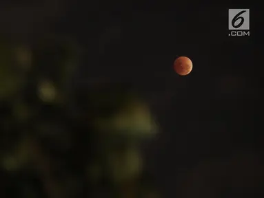 Gerhana bulan "super blue blood moon" terlihat di atas langit Jakarta, Rabu (31/1). Gerhana bulan kali ini berbeda disebut super blue blood moon dimana jarak bulan dengan bumi sangat dekat serta memilik warna yang sangat merah (Liputan6.com/Arya Manggala)