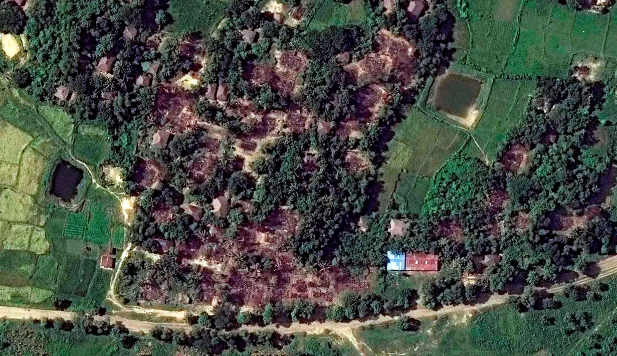 Desa Wa Peik sesudah dibakar oleh militer Myanmar pada 10 November 2016. Kerusuhan antara umat mayoritas Buddha dan minoritas Rohingya tercatat telah memakan puluhan korban jiwa. (Copyright 2016 Human Rights Watch/REUTERS)