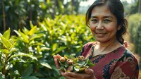 Mengenal Ciri-Ciri Daun Pecah Beling, Manfaat dan Khasiatnya untuk Kesehatan