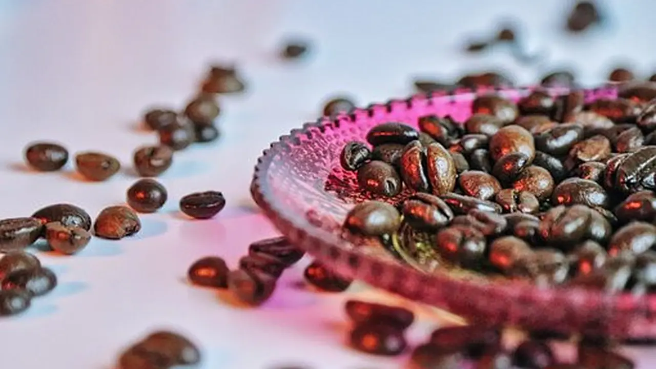 Ilustrasi Biji Kopi Robusta (sumber: pixabay)
