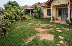 8 Tempat di Mana Rumput Tidak Akan Tumbuh, Begini Tips Mengatasinya