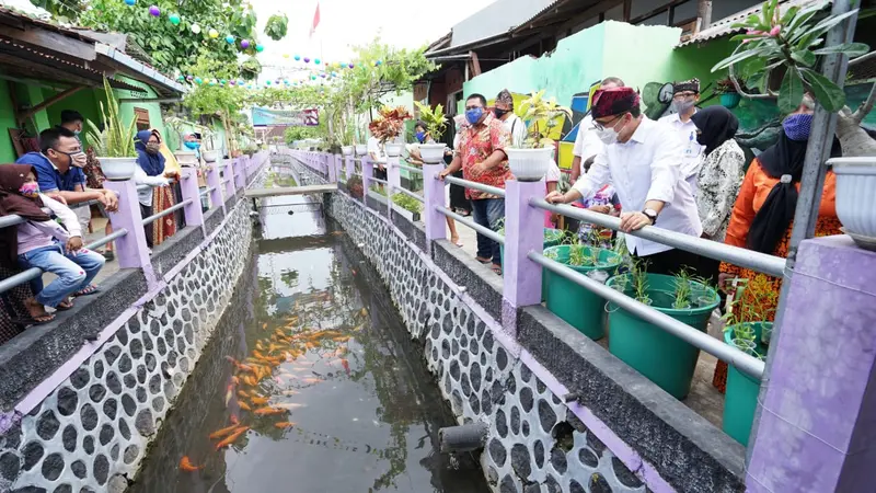 Sungai Lebih Bersih dan Indah, Bupati Anas Gencarkan Program Tebar Ikan Terkendali
