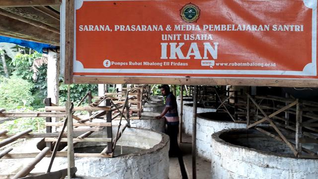 Ekonomi kreatif dan pertanian terpadu dikembangkan oleh Psantren Rubat Mbalong dengan berbagai pihak. (Foto: Liputan6.com/Muhamad Ridlo)