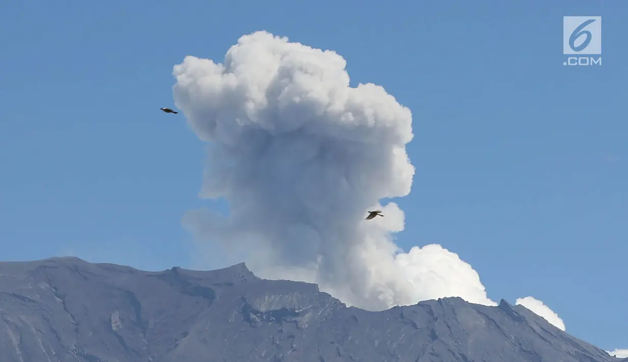 Pemandangan Gunung Agung yang bererupsi mengembuskan asap bercampur abu vulkanik terlihat dari kawasan Sidemen, Karangasem, Bali, Jumat (8/12). (Liputan6.com/Immanuel Antonius)