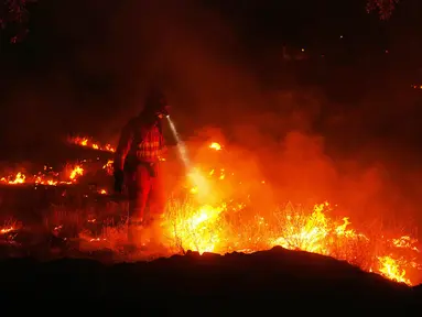 Petugas pemadam kebakaran menggunakan pembakaran terkontrol untuk menghentikan kebakaran hutan yang terus menyebar di dekat Cebreros, provinsi Ávila, Spanyol, Selasa, 28 Juli 2026. (AP Photo/Manu Fernandez)