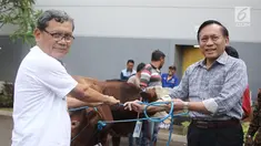 Direktur SCM Imam Sudjarwo menyerahkan 1 ekor sapi ke perwakilan camat Duri Kepa saat penyerahan hewan kurban 1439 H di Studio 5 Indosiar, Jakarta, Kamis (16/8). SCM membagikan hewan kurban sebanyak 5 sapi dan 45 kambing. (Liputan6.com/Herman Zakharia)