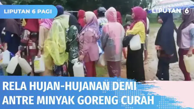 Jelang pencabutan subsidi minyak goreng curah oleh Pemerintah, ratusan warga di Banten rela antre saat hujan demi dapat minyak goreng curah dengan murah. Tak hanya di Banten, kondisi serupa juga dilakukan warga di Kabupaten Buru Selatan, Maluku.