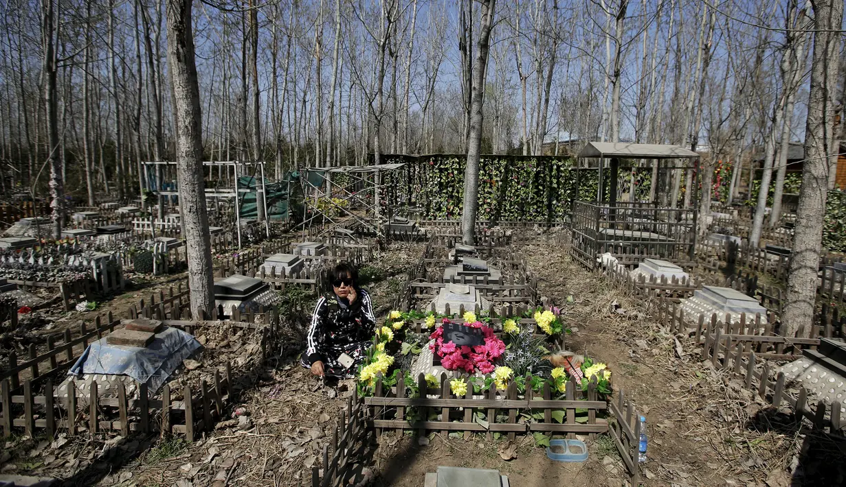 Pengunjung saat berkunjung kesalah satu makam di pemakaman hewan, Beijing , Cina (26/3). Pada 4 April warga Cina akan menggelar Festival Qingming yaitu ritual untuk menghormati kerabat yang dicintai termasuk hewan. (REUTERS / Jason Lee)