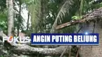 Beberapa pohon tumbang menimpa kabel listrik sehingga jaringan listrik jadi terganggu.