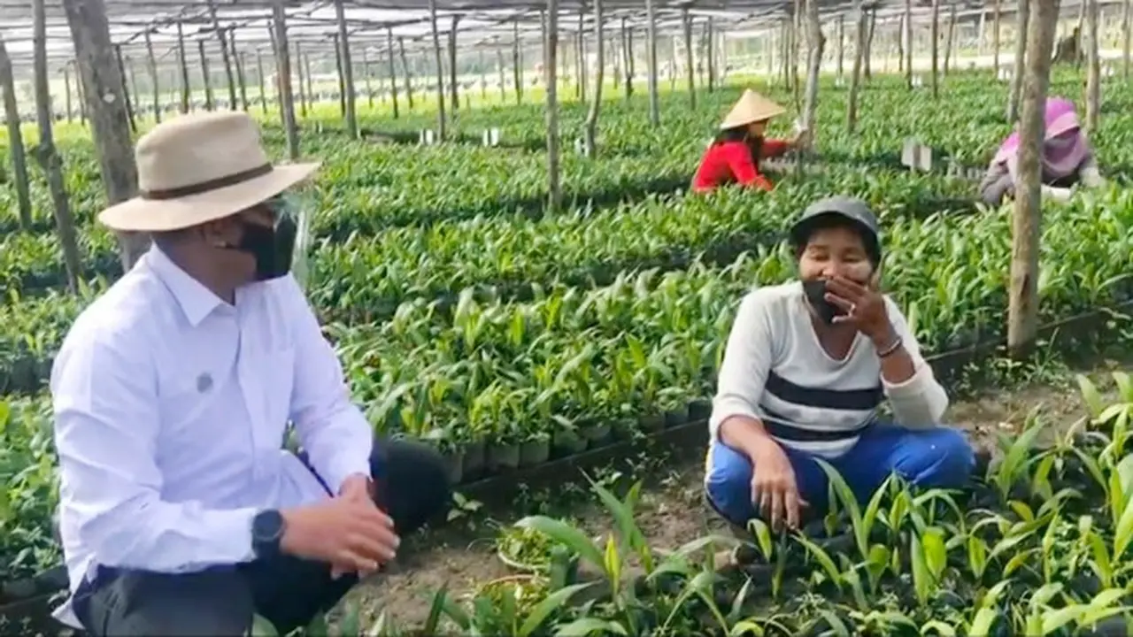 CEO PTPN V Jatmiko K Santosa berbincang dengan pekerja pembibitan sawit di Kota Dumai.