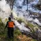 Pemadaman Terus Dilakukan Setelah Karhutla Melanda Gunung Bromo
