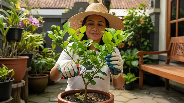 Teknik Pruning