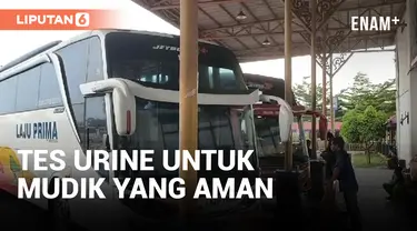 BNN Depok Gelar Tes Urine ke Awak Bus