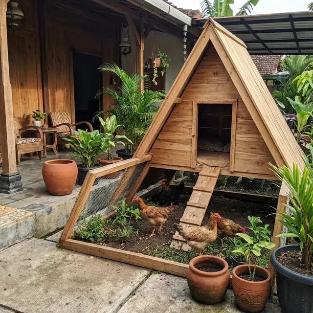 Kandang Ayam Kate Estetik di Teras