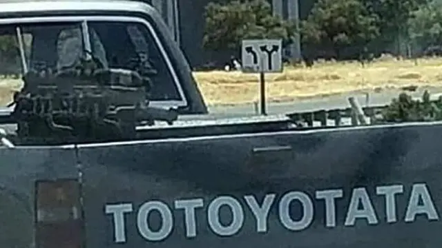 Plesetan merek Toyota (Ist)
