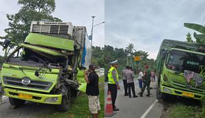 Truk Fuso Adu Banteng di Lampung (Foto: Istimewa)