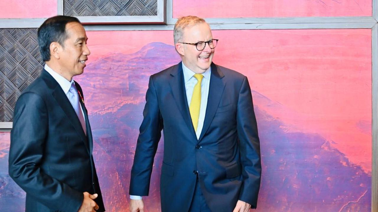 Presiden Jokowi dan Perdana Menteri (PM) Australia Anthony Albanese (Biro Pers Sekretariat Presiden)