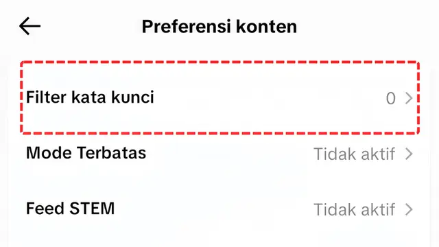 Kenali Langkah 3C dari Tiktok yang Bisa Bantu Kamu Terhindar dari Penipuan Online #PikirDuakali