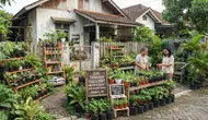 8 Peluang Bisnis Harian dari Halaman Rumah yang Sering Terabaikan, Bisa Jadi Sumber Cuan