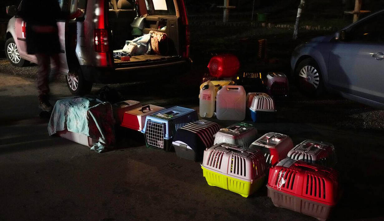 Dokter dan relawan merawat anjing dan kucing yang tiba dari Ukraina di Przemysl, Polandia, Selasa (8/3/2022). Prioritas mereka sekarang adalah menyediakan makanan hewani, obat-obatan dan bantuan medis di Ukraina, tetapi sebagian besar untuk mengevakuasi hewan ke Polandia.(AP Photo/Czarek Sokolowski)