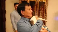 Prabowo Subianto sedang menggendong kucingnya, Bobby. (dok.Instagram @prabowo/https://www.instagram.com/p/BpLpJDfgHVi/Henry