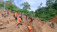 Proses evakuasi tiga korban tertimbun tanah longsor di Kabupaten Tanggamus oleh Tim SAR gabungan. Foto : (Istimewa).