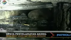Petugas pemadam kebakaran ini selamatkan seekor anjing yang terjebak di gorong-gorong selama enam jam!
