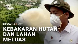 Kebakaran Hutan dan Lahan Meluas