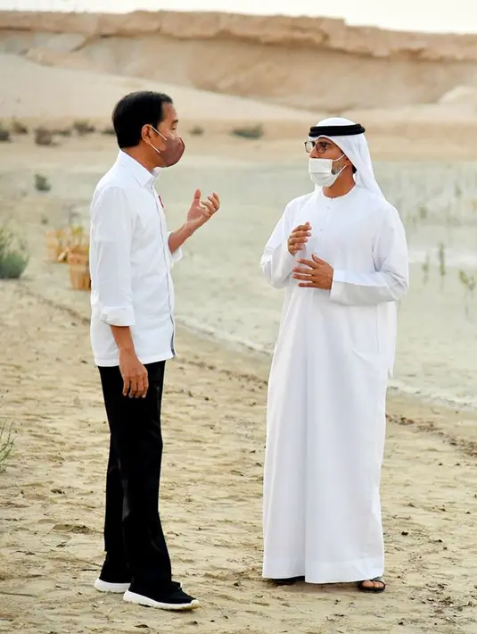 Presiden Joko Widodo atau Jokowi (kiri) berbincang dengan Menteri Energi dan Infrastruktur Persatuan Emirat Arab (PEA) Suhail Al Mazrouei saat meninjau tanaman mangrove di Jubail Mangrove Park, Pulau Al Jubail, Abu Dhabi, PEA, Rabu (3/11/2021). (Foto: Biro Pers Sekretariat Presiden)
