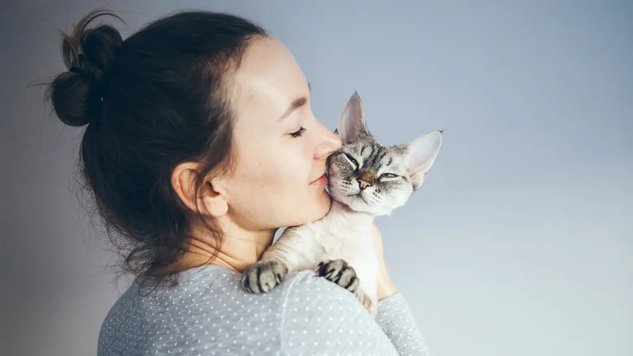 Happy Purrfect Valentine! Ini 5 Ide Seru Tunjukkan Kasih Sayang pada Kucing di Rumah