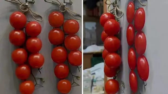 Seniman Ini Buat Tipuan Ilusi Optik Gambar Buah dan Sayur, 6 Hasilnya Tampak Nyata