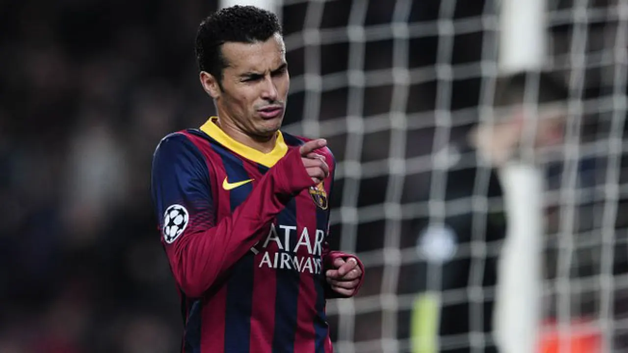 pedro-131229a.jpg
