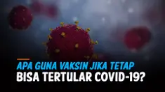 apa guna vaksin